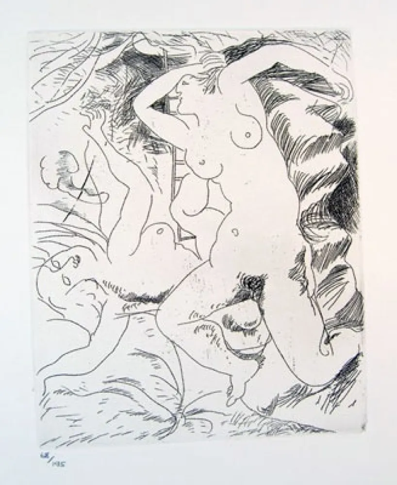 Água-Forte Bores - Carpeta