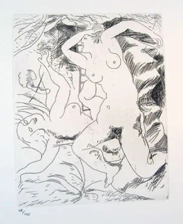 Água-Forte Bores - Carpeta