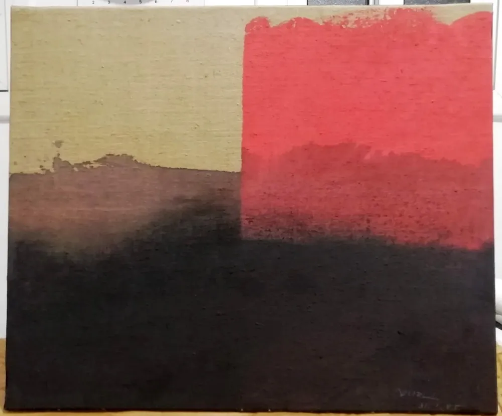 Sem Técnica Borrell Palazón - Estructura rosa sobre negre