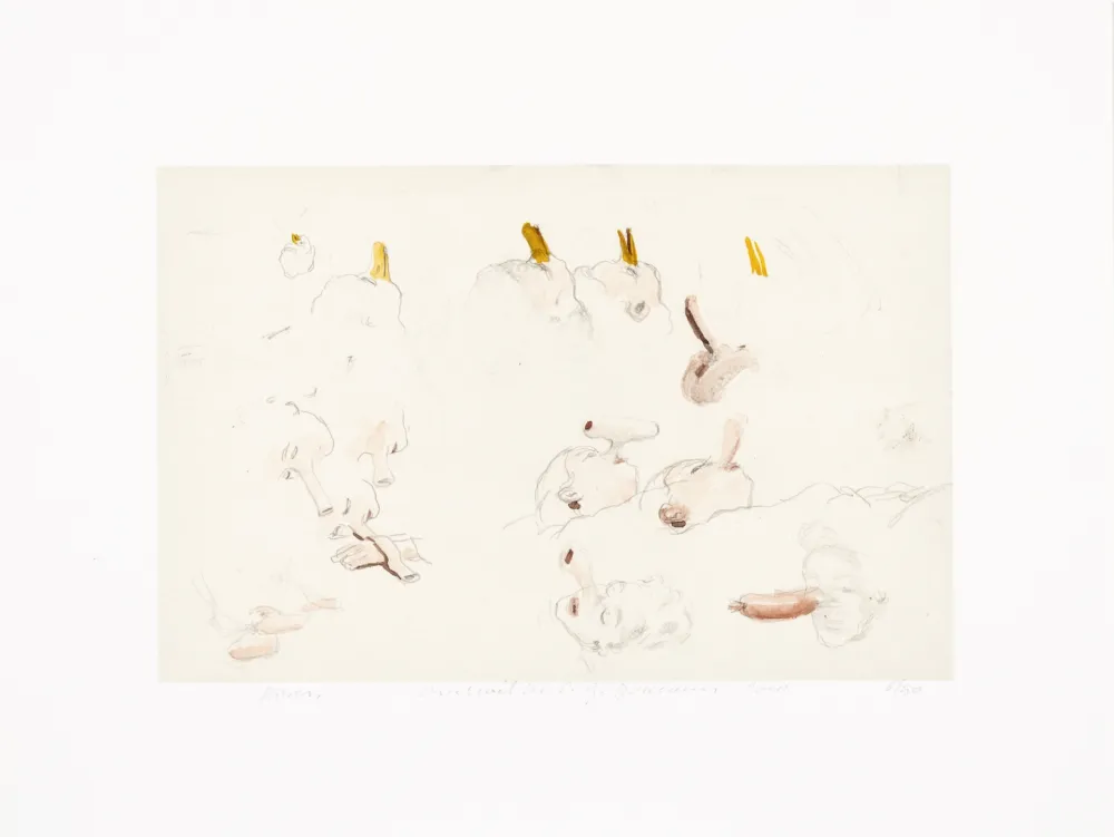 Gravura Digital Borremans - Noses