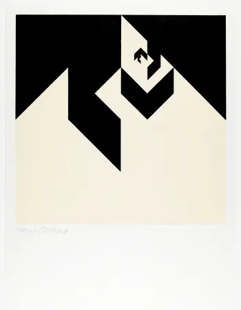 Xilogravura Bosshard - Variation 6