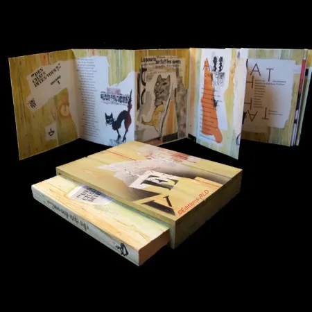 Livro Ilustrado Botti  - Des chats dites-vous ?