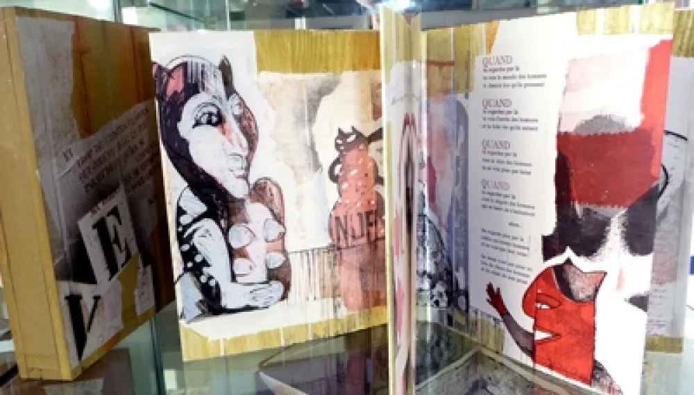 Livro Ilustrado Botti  - Des chats dites-vous ?