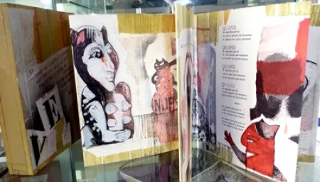 Livro Ilustrado Botti  - Des chats dites-vous ?