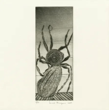 Gravura Bourgeois - Untitled from 
