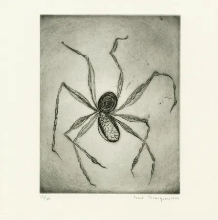 Gravura Bourgeois - Untitled from 