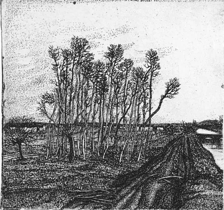 Água-Forte Bozzetti - Il boschetto lungo l'argine (II versione)