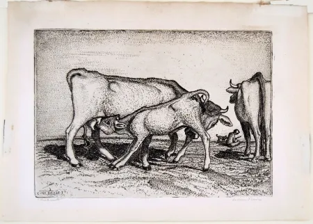 Gravura Bozzetti - LA VACCA E IL BOCCINO (The cow and the calf), fourth version. 