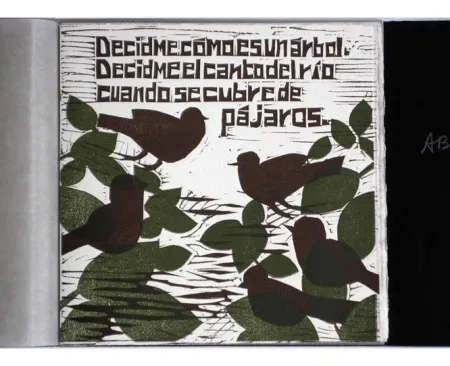 Livro Ilustrado Brancaforte - Decidme cómo es un árbol