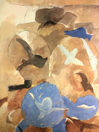 Litografia Braque - Ciel et oiseaux