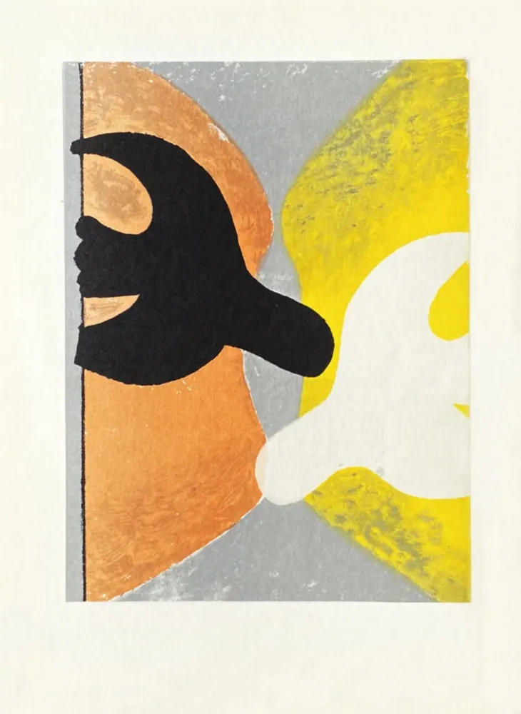 Litografia Braque - Couple d'oiseaux