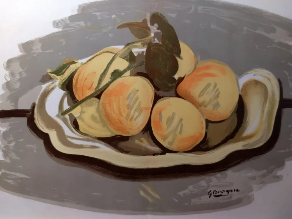 Livro Ilustrado Braque - DLM 48-49