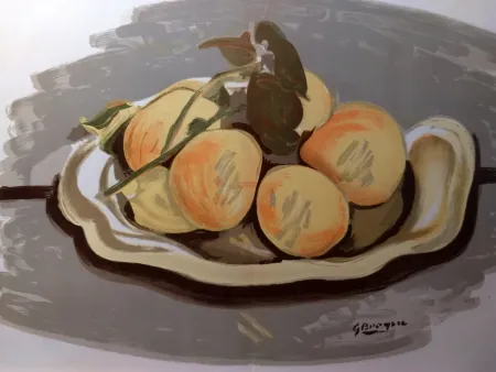 Livro Ilustrado Braque - DLM 48-49