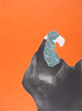 Água-Forte Brillant - Le Rocher Perroquet