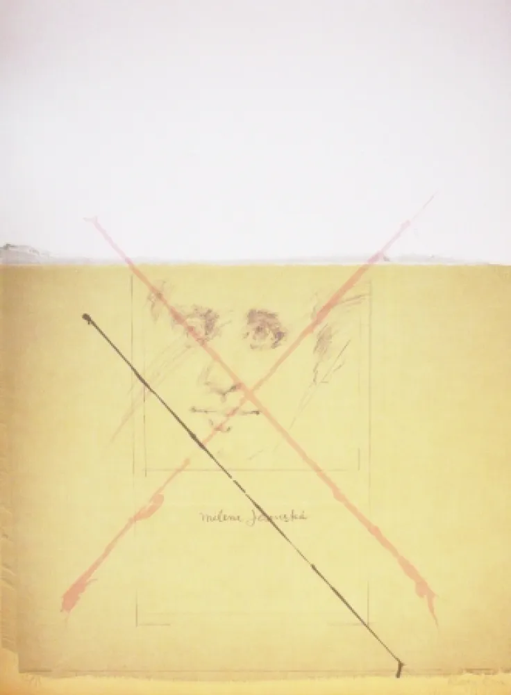 Litografia Bru - Milena