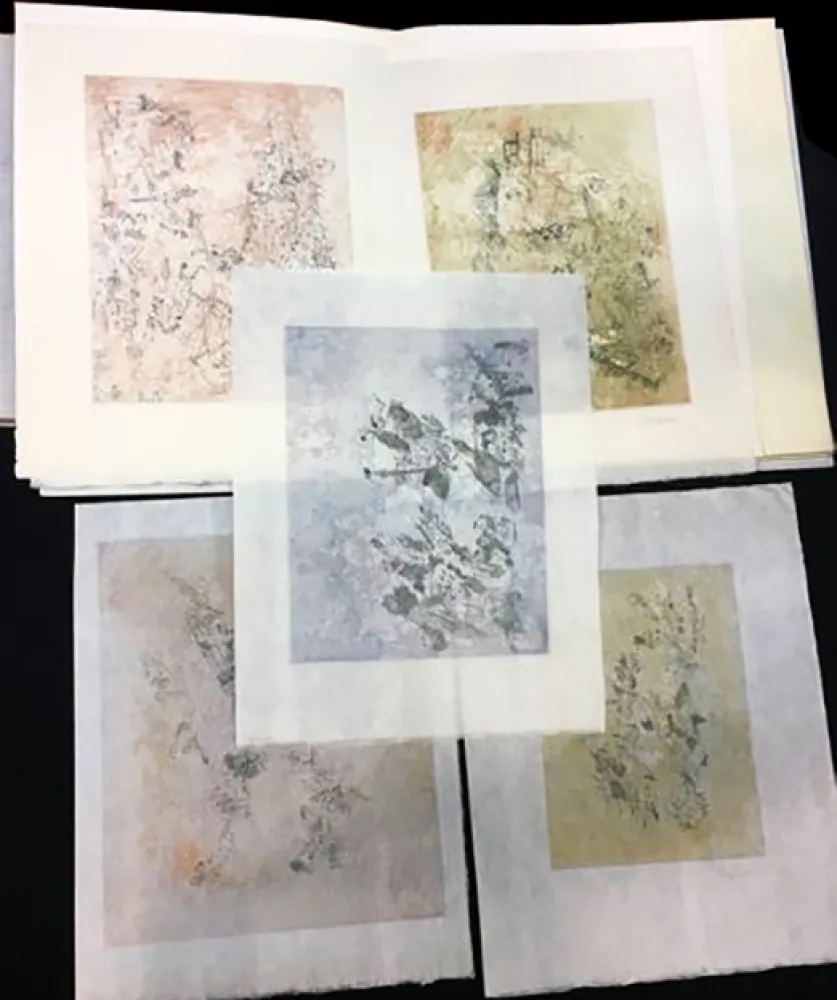 Livro Ilustrado Bryen - Tristan Tzara. VIGIES. 5 eaux-fortes originales (1962).