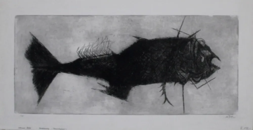 Gravura Bub - Steinbeisser