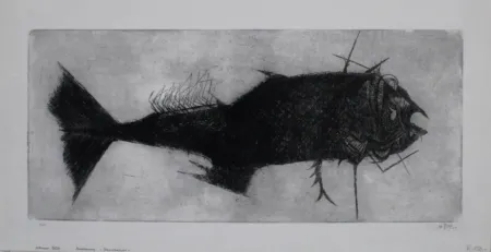 Gravura Bub - Steinbeisser