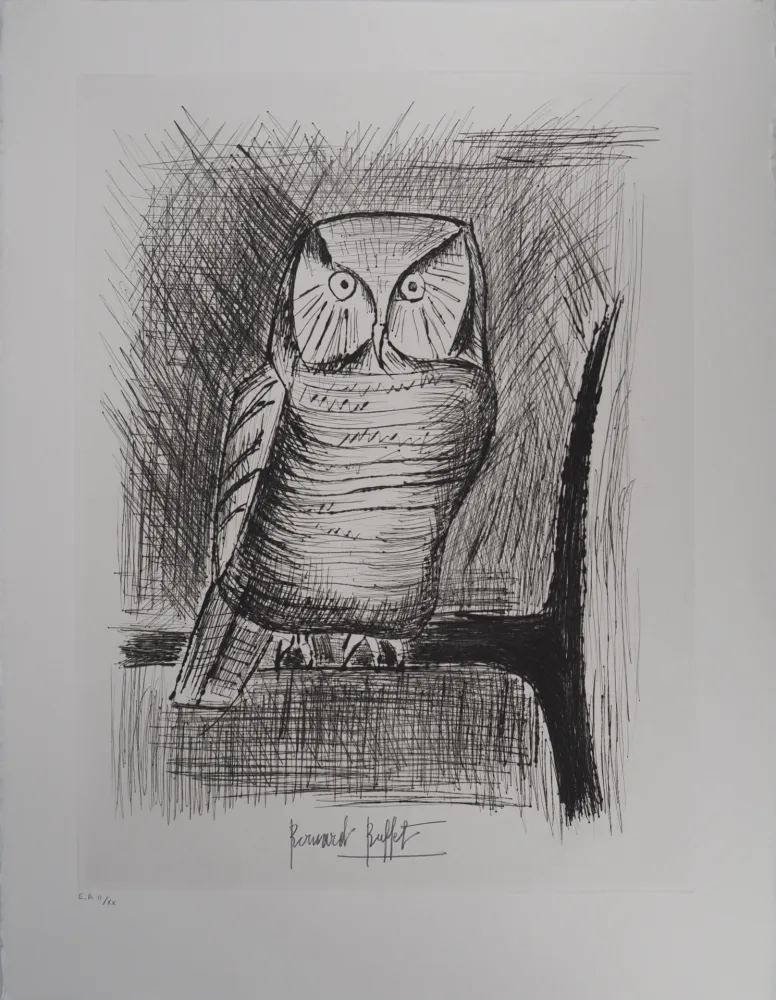 Gravura Buffet - Chouette épervière,
