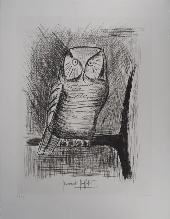 Gravura Buffet - Chouette épervière,