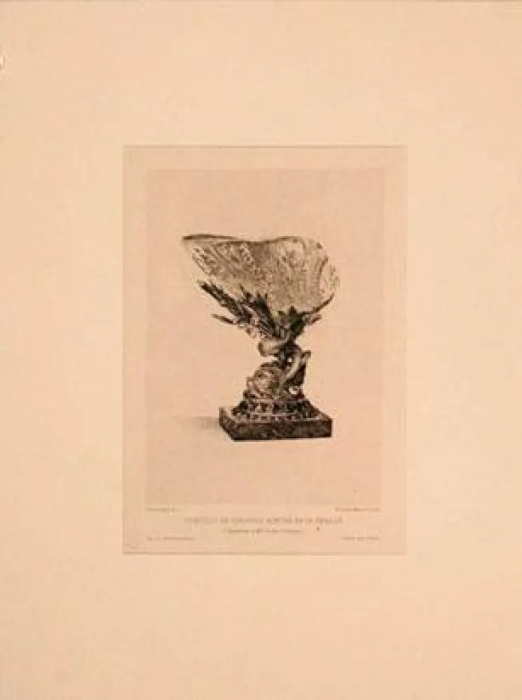 Gravura Buhot - Coquille de girasole