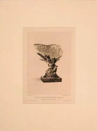 Gravura Buhot - Coquille de girasole