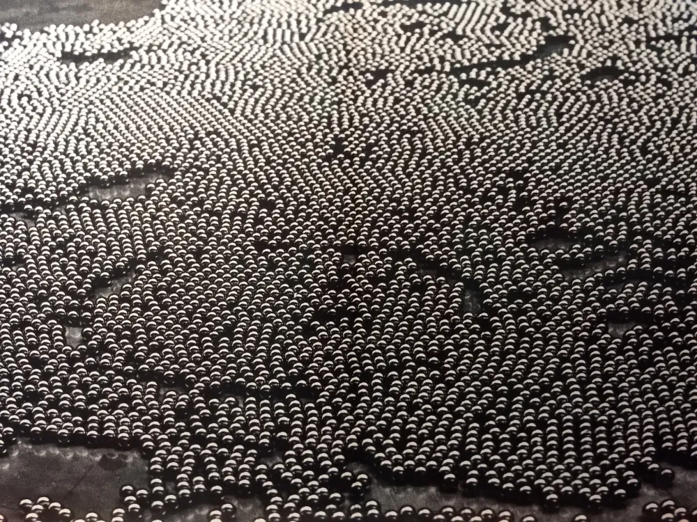 Livro Ilustrado Bury - DLM 191