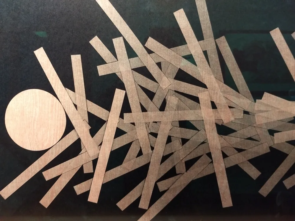 Livro Ilustrado Bury - DLM 228