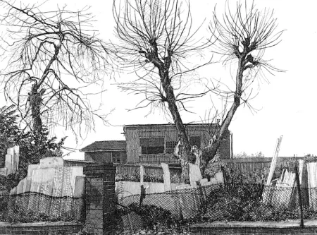 Água-Forte Cacciarini - Alberi