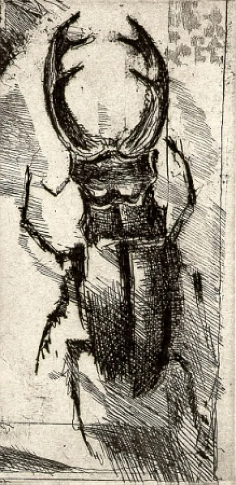 Livro Ilustrado Calandri - Ballades et Rondeaux du Testament Villon