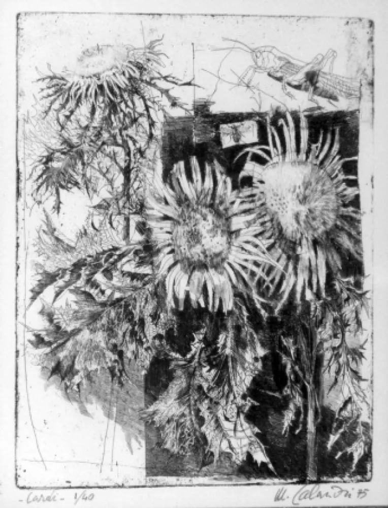 Água-Forte Calandri - Cardi