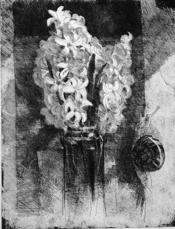 Água-Forte Calandri - Giacinti