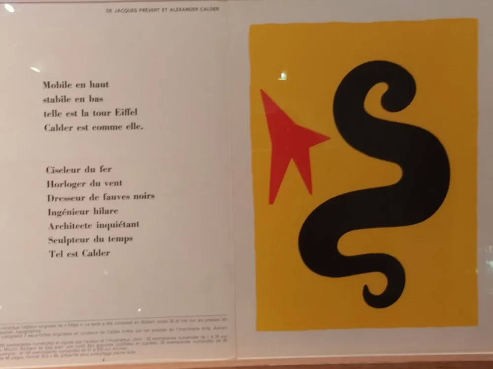 Livro Ilustrado Calder (After) - DLM195