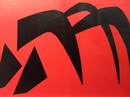 Livro Ilustrado Calder - DLM 113