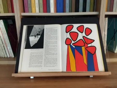 Livro Ilustrado Calder - Hommage