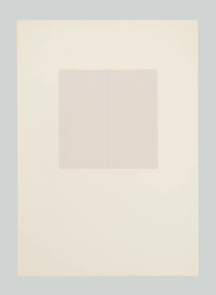 Serigrafia Calderara - E poi (Tav. D)