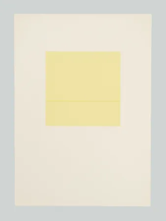 Serigrafia Calderara - E poi (Tav. F)