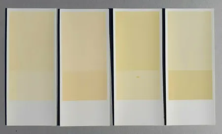 Litografia Calderara - Misura, luce, colore