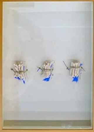 Sem Técnica Calvo - Historia pendiente