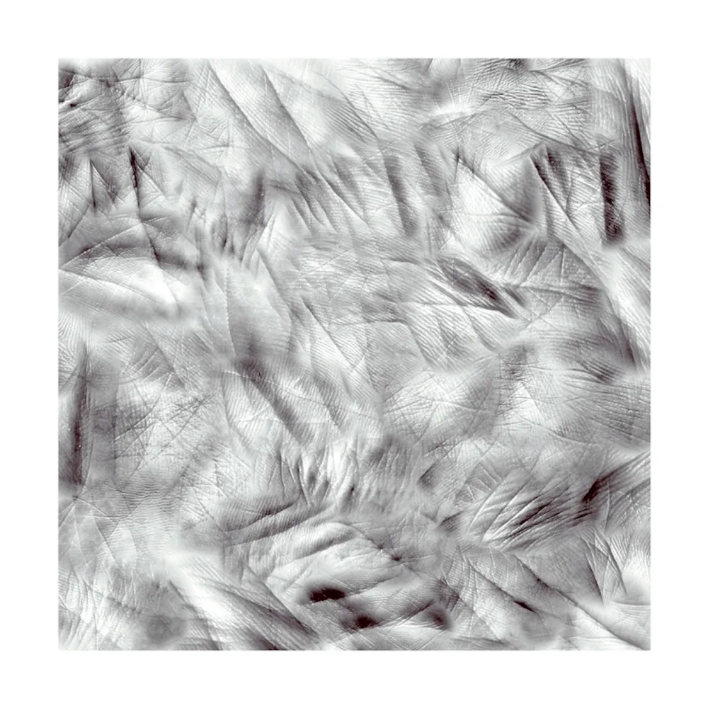 Fotografia Canogar - Life Lines