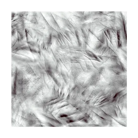 Fotografia Canogar - Life Lines