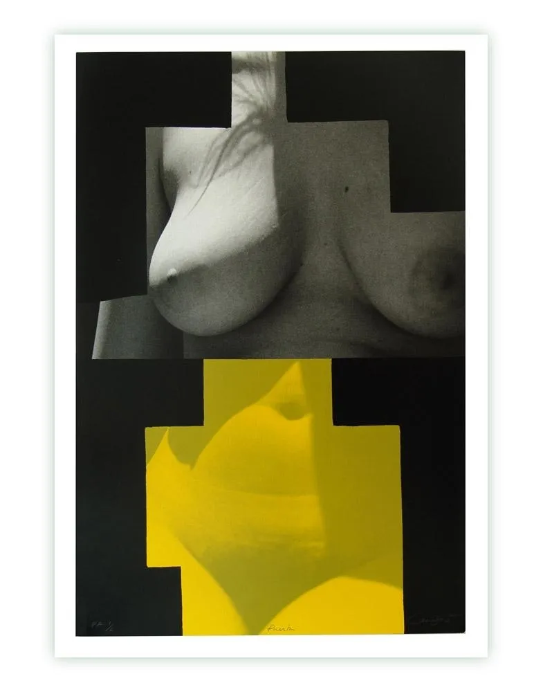 Serigrafia Canogar - Puerta