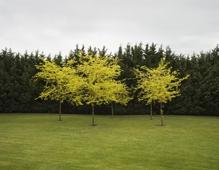 Fotografia Canovas - SEVENTH HEAVEN - 1