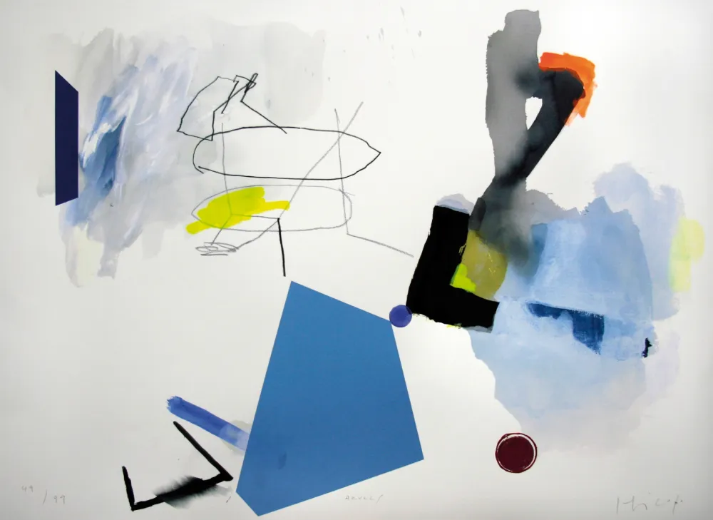 Serigrafia Capa - Azules