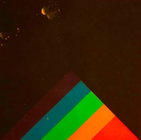 Serigrafia Carmi - SENZA TITOLO