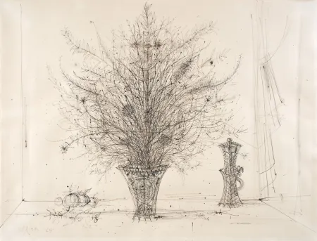 Sem Técnica Carzou - 