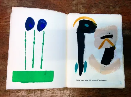 Livro Ilustrado Cascella - Il Magocostruttordivoli