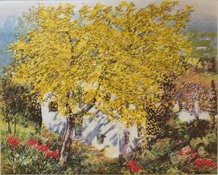 Água-Forte Cascella - Natura