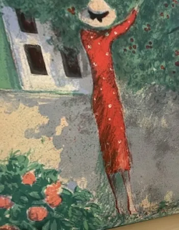 Livro Ilustrado Cassigneul  - CASSIGNEUL