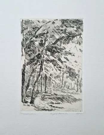 Água-Forte Castellani - Angolo di bosco